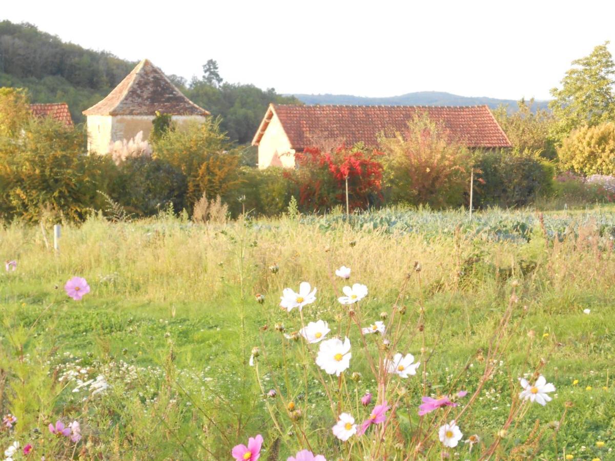 Bed and Breakfast Le Roussel à Le Buisson-de-Cadouin Extérieur photo